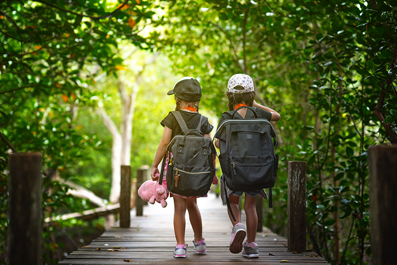 girls walking together on the wooden bridge of rainforest for learning and replenish kids experience of the field trip By Idanupong on adobe stock