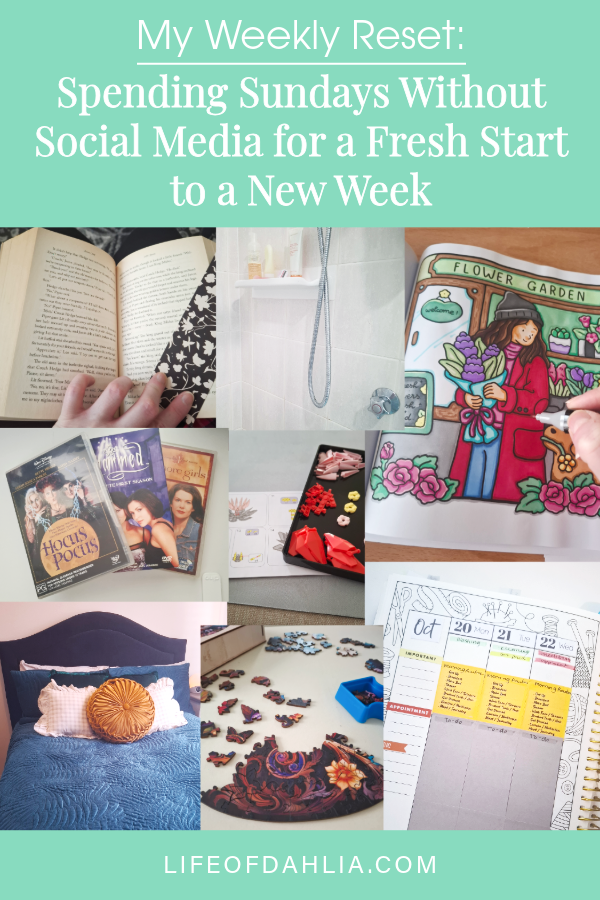 An image with the title of this blog post on it and a collage of photos that show various analog hobbies (colouring, reading, lego, watching dvd's. also includes a shower room, a bed room and weekly planner.