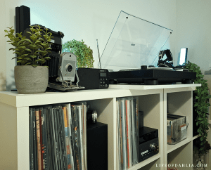 White cube shelving units with a record player on top. Dd player, cd's, vinyl records ,vintage cameras and faux plants on the shelves.